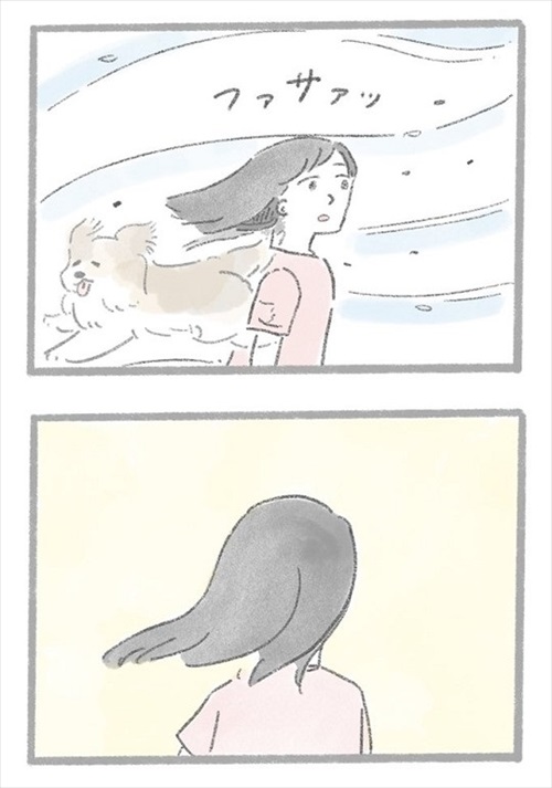 あるおいぬのお話