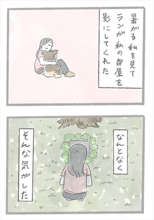 あるおいぬのお話