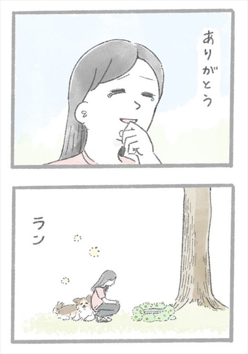 あるおいぬのお話