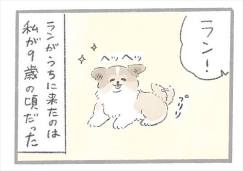 あるおいぬのお話