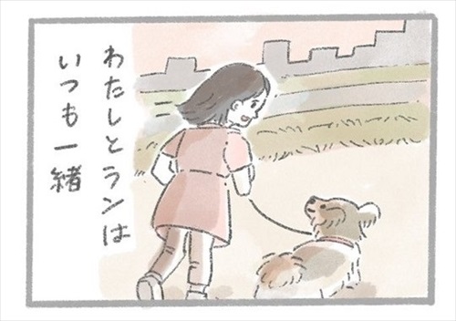 あるおいぬのお話