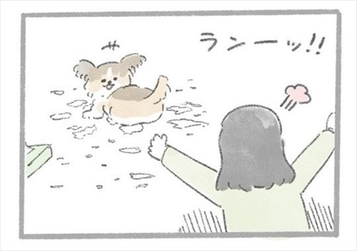 あるおいぬのお話