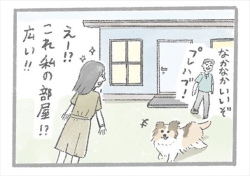 あるおいぬのお話