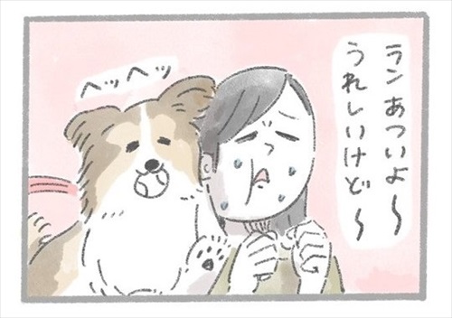 あるおいぬのお話