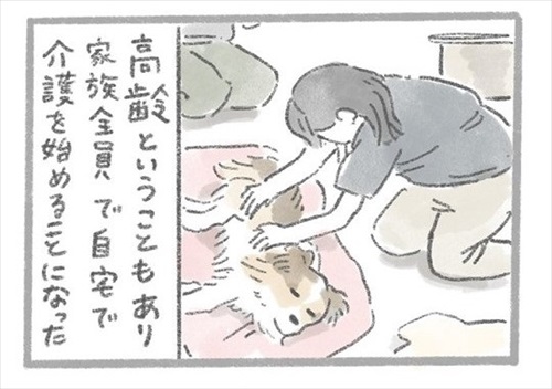 あるおいぬのお話