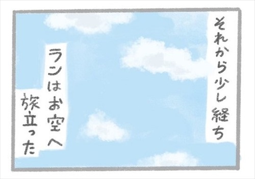 あるおいぬのお話