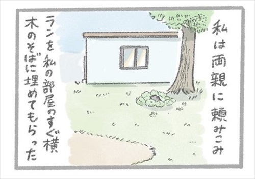 あるおいぬのお話