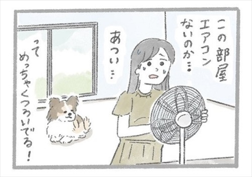 あるおいぬのお話