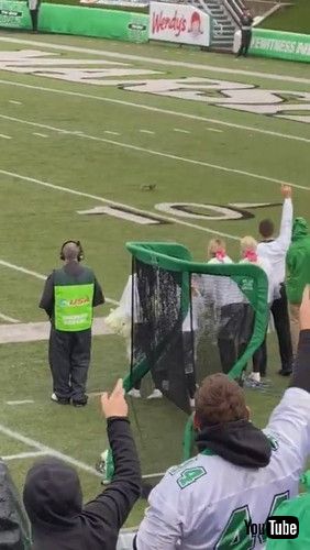 「Squirrel Scores a Touchdown || ViralHog」