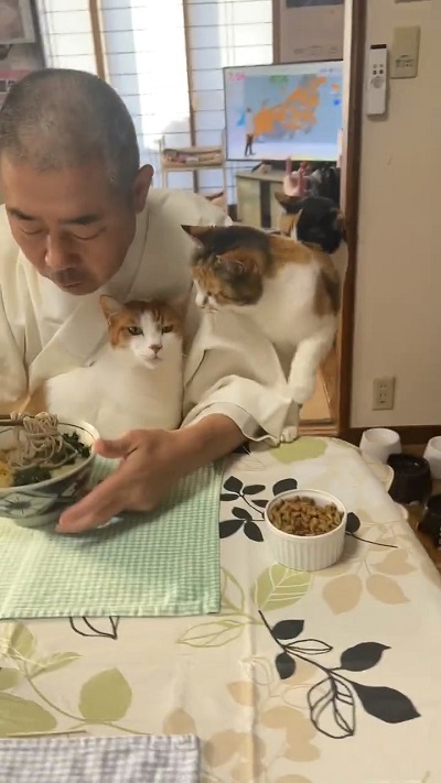 住職と猫