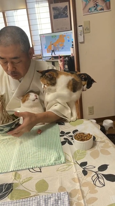 猫パンチをくらうシロくん