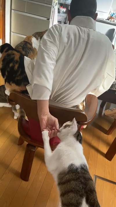 カリカリをこーちゃんに