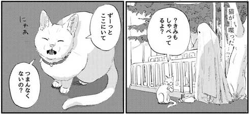 猫漫画
