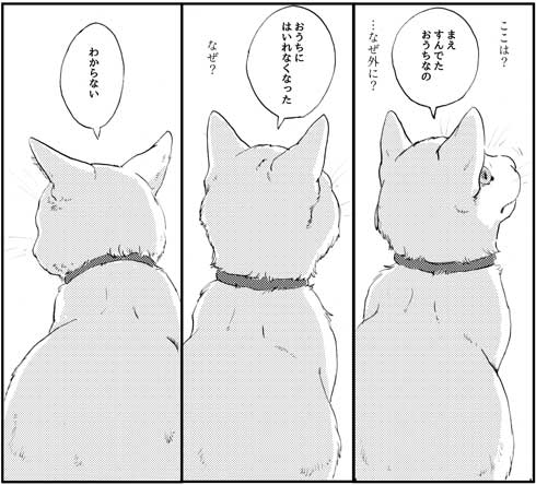 創作 漫画 渚は海の夢を見る 猫 飼い猫 おばけ 鯨庭