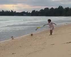 砂浜 転がる ツキイゲ 娘 砂かけられ 撃沈 まっくろくろすけ