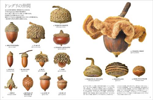 砂浜 転がる ツキイゲ 娘 砂かけられ 撃沈 まっくろくろすけ