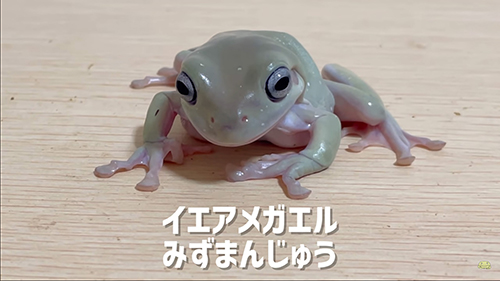 みずまんじゅうさん