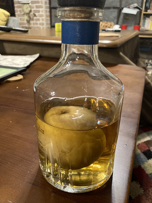 リンゴが丸ごと酒瓶の中に……！　不思議な見た目のボトルに「どうやって入れたの？」と聞かずにはいられない