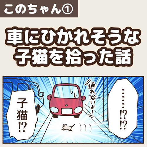 車にひかれそうな子猫を拾った話1