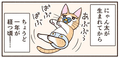 車にひかれそうな子猫を拾った話2