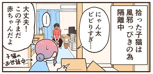 新猫の気配にビビりまくる先住猫2