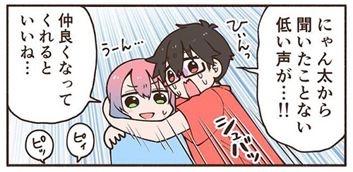 新猫の気配にビビりまくる先住猫5