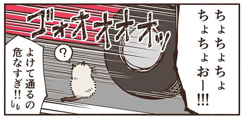 車にひかれそうな子猫を拾った話5