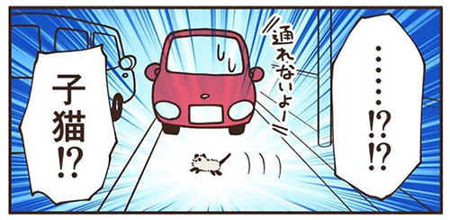 車にひかれそうな子猫を拾った話4