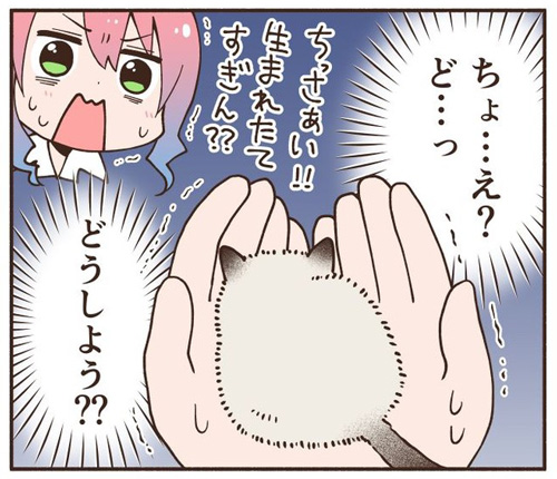 車にひかれそうな子猫を拾った話9