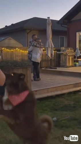 「Marriage Proposal Interrupted by Doggy’s Bathroom Break || ViralHog」