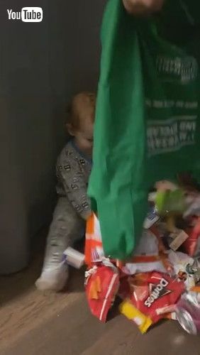 「CBaby Becomes Happy on Getting Lots of Wafers From Trick or Treating - 1267786」