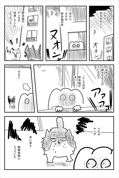 猫のケンカに巻き込まれた飼い主さん