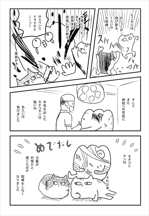 猫のケンカに巻き込まれた飼い主さん