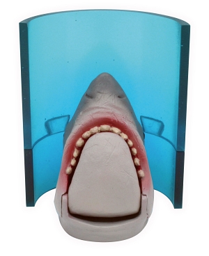 JAWS ジョーズ サメ映画