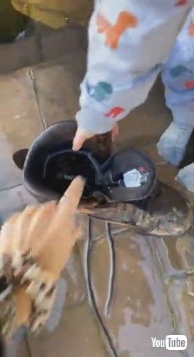 「Baby Emery Unlocks Door and Soaks Boots || ViralHog」