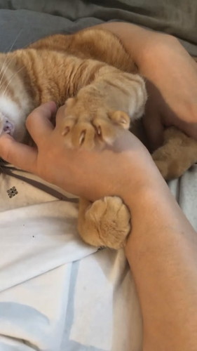 指ちゅぱちゅぱムギちゃん