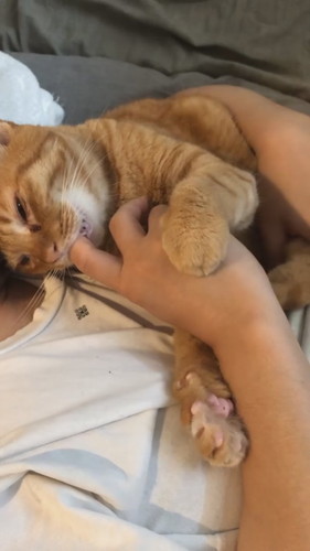 指ちゅぱちゅぱムギちゃん