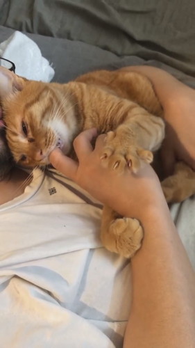 指ちゅぱちゅぱムギちゃん