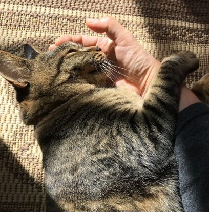 邪魔をするもの、されたいもの。実写グリさん