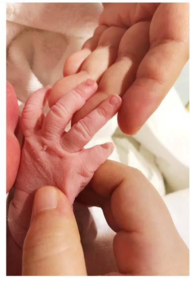 ニッチェ 江上 敬子 息子 歩き始め 写真 癒やし