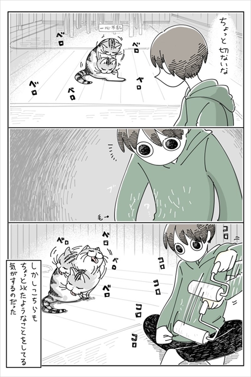 なでられたところを気にする猫ちゃん