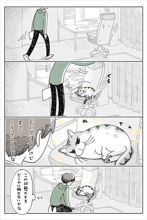 なでられたところを気にする猫ちゃん