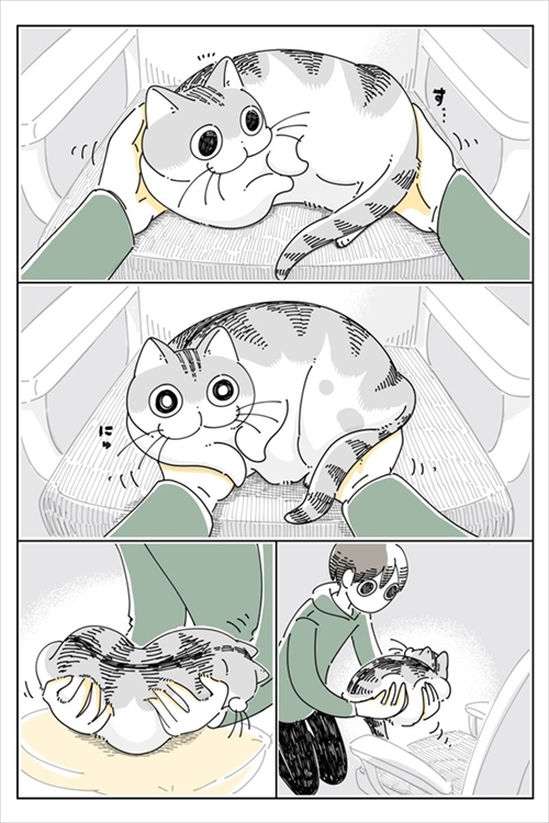 なでられたところを気にする猫ちゃん