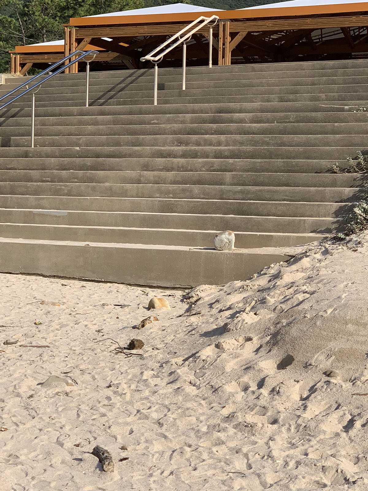 毛繕い中のネコちゃんかと思いきや……　海岸で起こった悲しい事件に「どう見ても猫」「あるある」