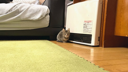 あめちゃん