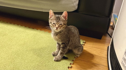 あめちゃん