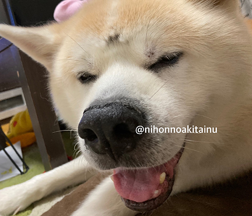 笑顔のフジくんアップ