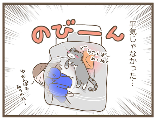 続・おふとんとカルと私2