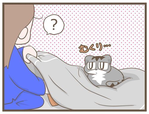 おふとんとカルと私2