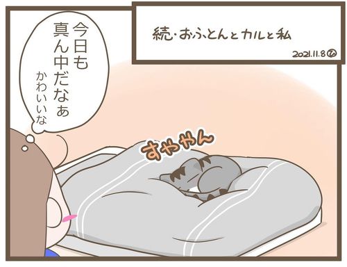 おふとんとカルと私2